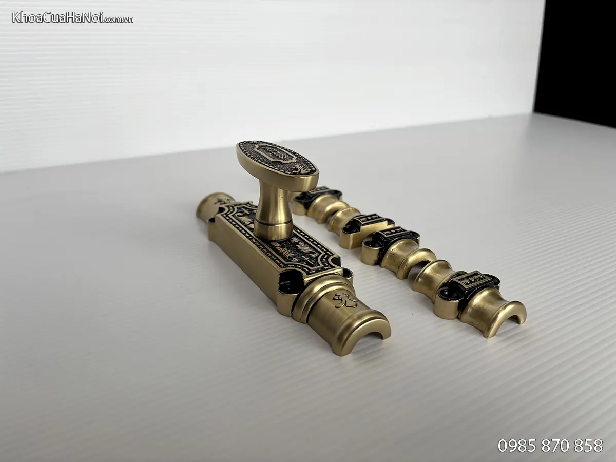 Clemon cho cửa chính bằng đồng rêu Merji88 Cr02-M DSF