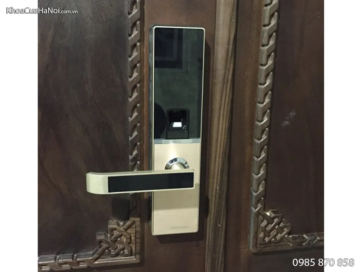 Khóa vân tay kết nối wifi Dessmann A800