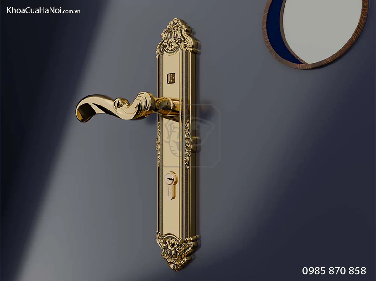 Khóa Cửa Đi Tay Lượn HCP 8529