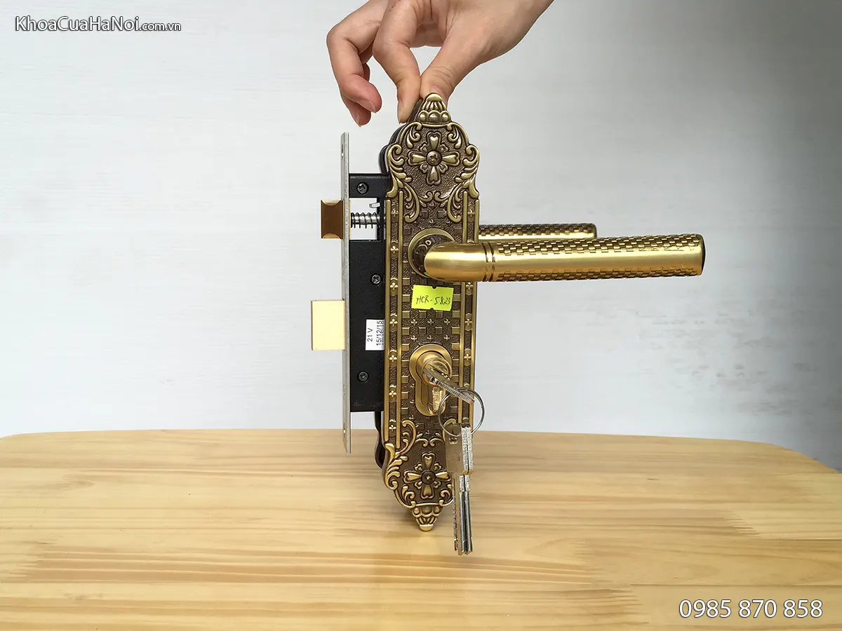 Khóa cửa gỗ thông phòng màu đồng rêu HCR5823