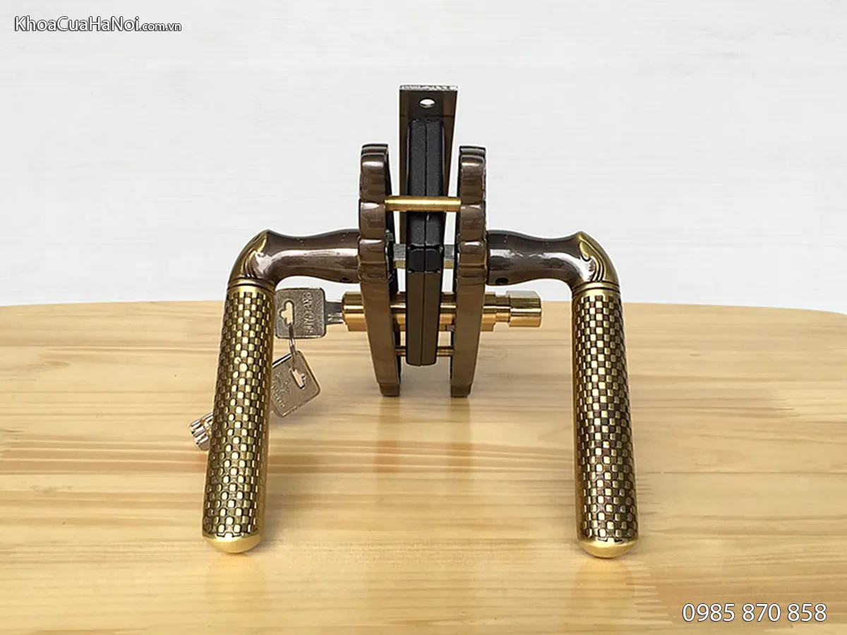 Khóa cửa gỗ thông phòng màu đồng rêu HCR5823