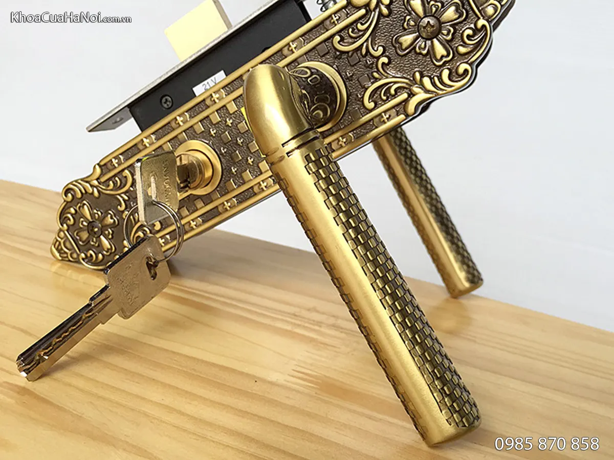 Khóa cửa gỗ thông phòng màu đồng rêu HCR5823